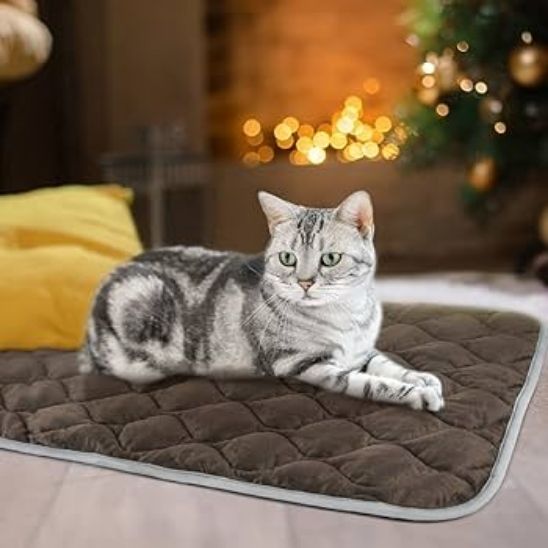 thermal cat mat - Happy Minet