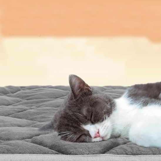 thermal cat mat - Happy Minet