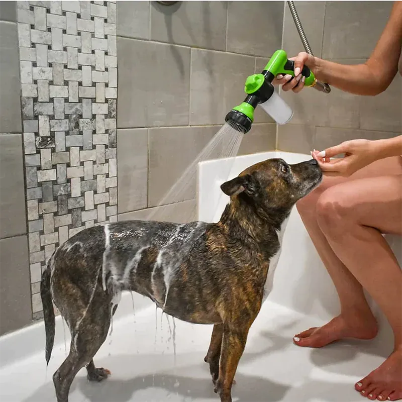 Dog washing demonstration