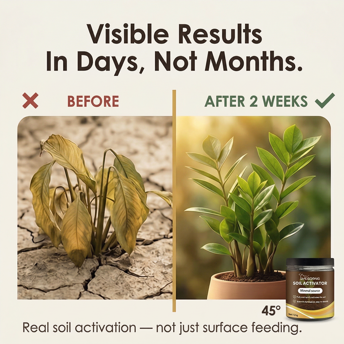 Rootvive Mineral Source Soil Activator — 120g